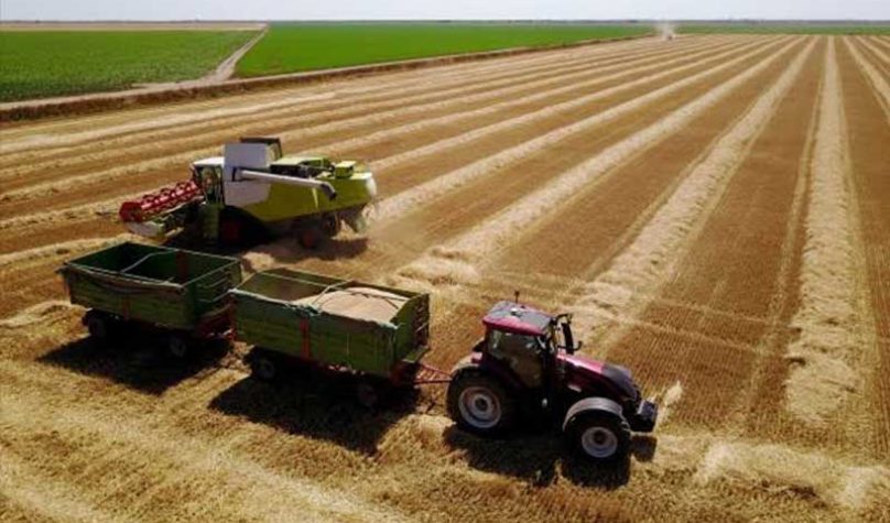 banner-800x533px-agronegócio