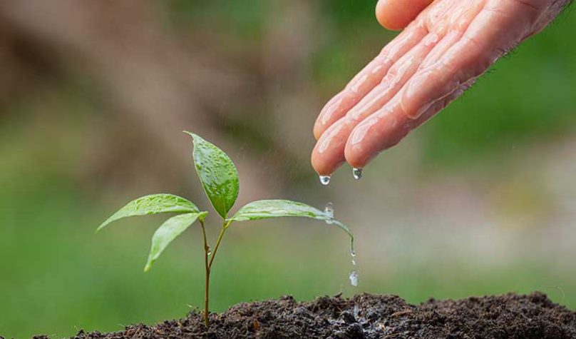 banner-800x533px-cabo-fibra-optica