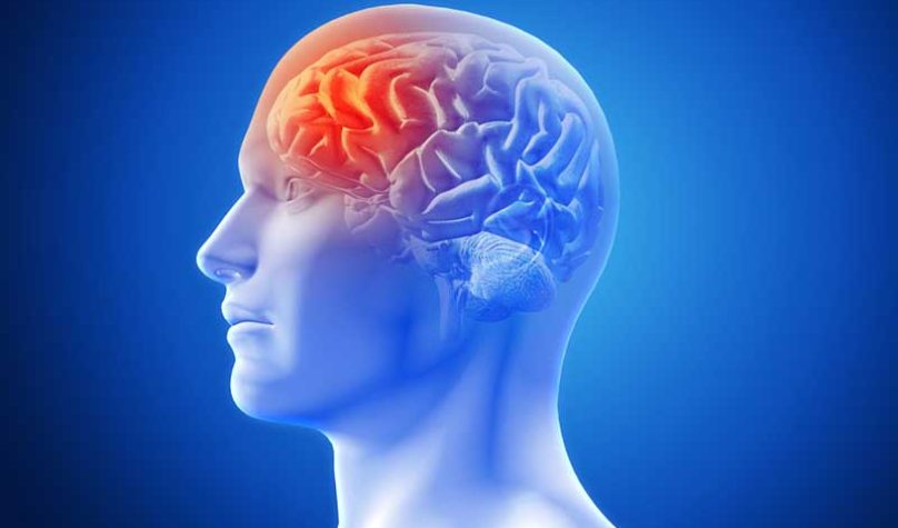 banner-800x533px-cancer-cerebro