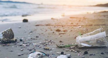 banner-800x533px-consorcio-nordeste