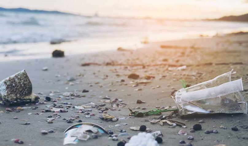 banner-800x533px-consorcio-nordeste