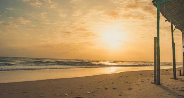 banner-800x533px-mostra-ceara