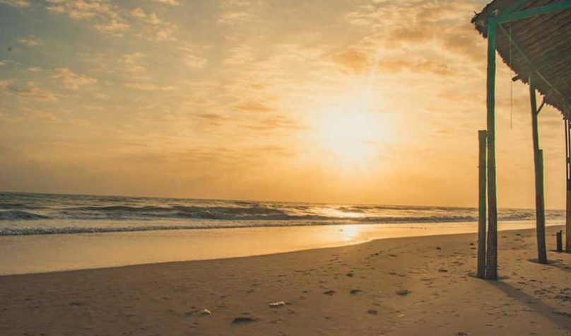 banner-800x533px-mostra-ceara