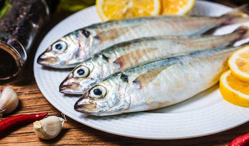 banner-800x533px-pescados