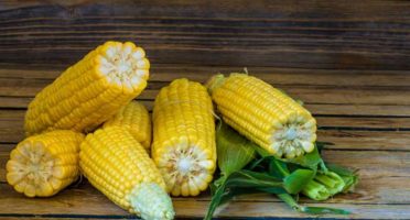 banner-800x533px-receita