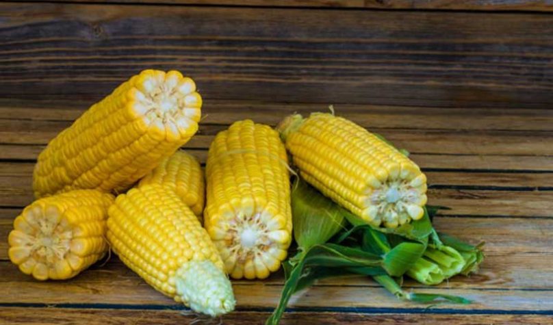 banner-800x533px-receita